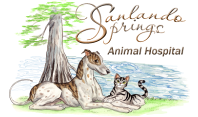 Sanlando Springs Animal Hospital-HeaderLogo